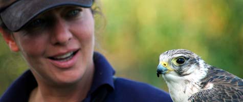 Nina Markx van Birds@Work met valk